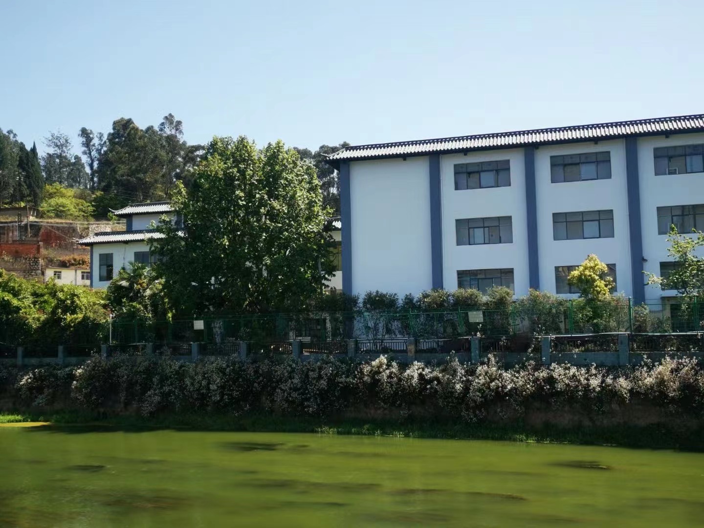 佑亦丰中学是否实行分层教学？