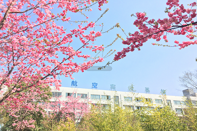 校园风光