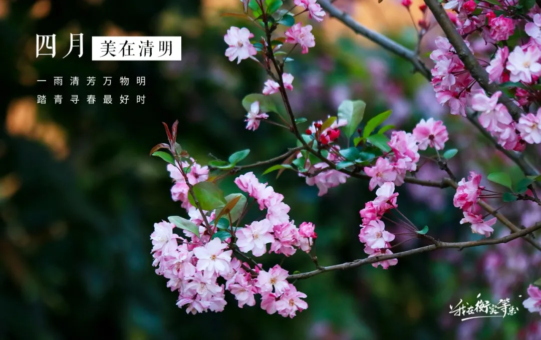 四月，赴一场衡实之约