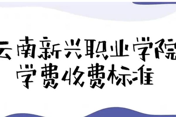 2024年云南新兴职业学院收费标准