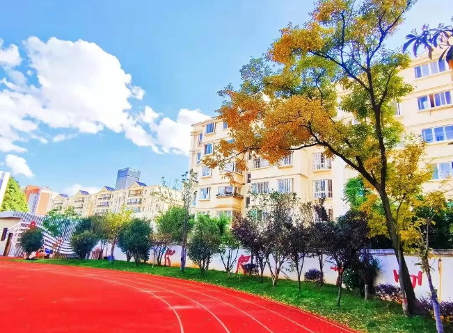 昆明金色学校2024年小升初招生要求有什么内容？