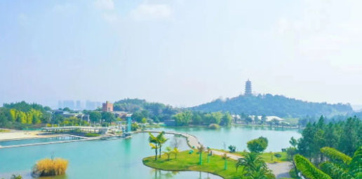 庆来学校官网