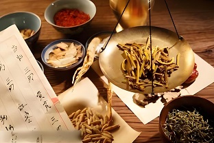 重点专业一中药