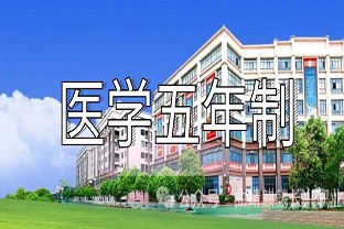 曲靖麒麟长兴五年制大专招生专业
