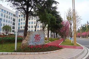 学习园地