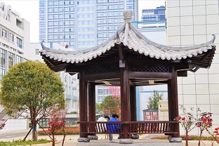 文化长廊