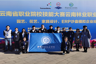 省级职业院校技能大赛ERP沙盘模拟企业经营赛项中喜获佳绩