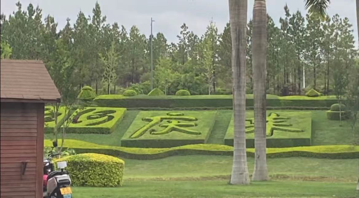 庆来学校综合高中的评价