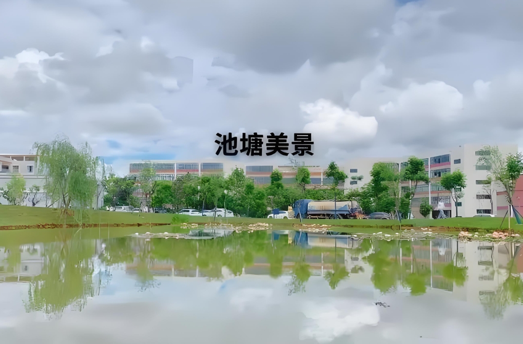 2025年云南省楚雄市高考高三全日制班补习有哪些？学校大盘点