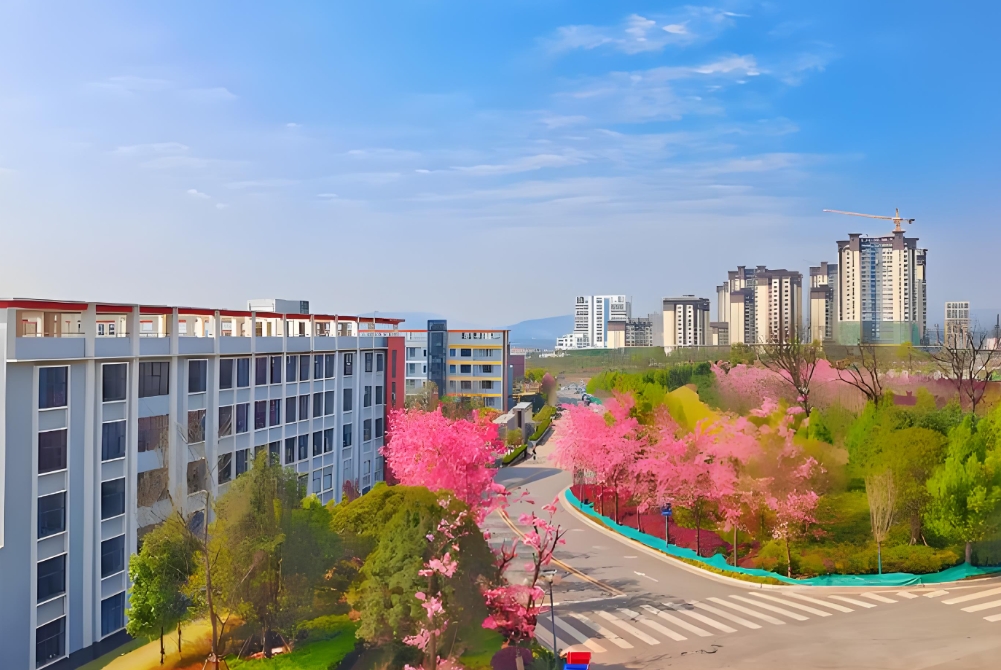 云南省临沧市2025年比较好的高考补习班有哪些？