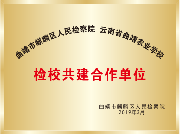 26BBF24154757AB4EE834311686_43D41157_CFCD.png