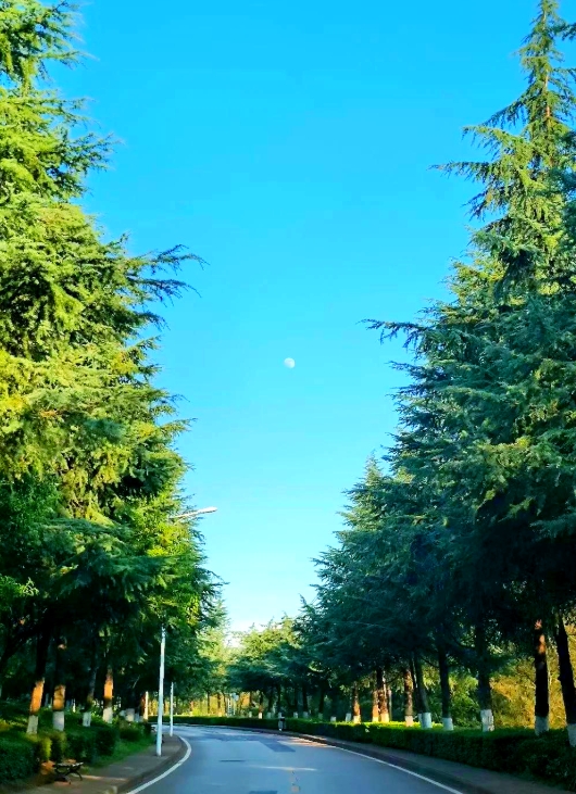 微信截图_20250410152037.jpg